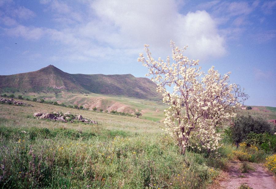 An den Hängen des Ätna, Sizilien Italien 1994