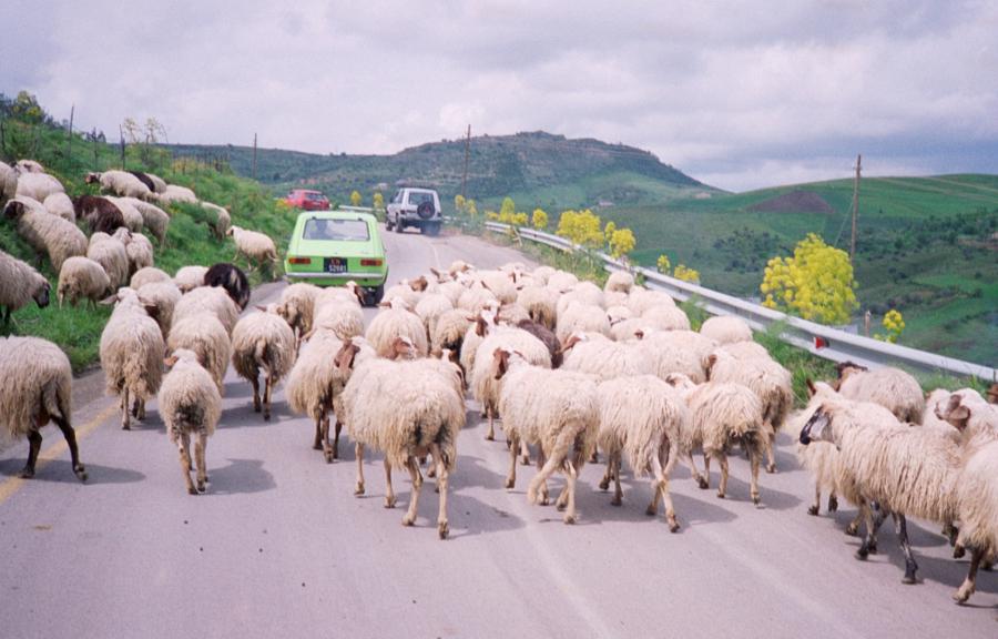 Sizilianischer Verkehr, Sizilien, Italien 1994
