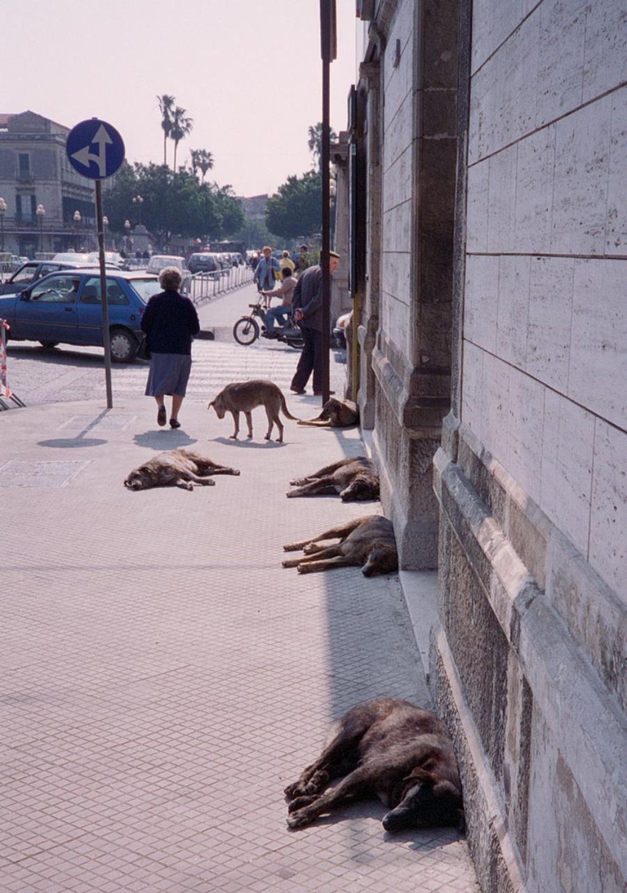 Schlafende Hunde soll man nicht wecken, Italien 1994