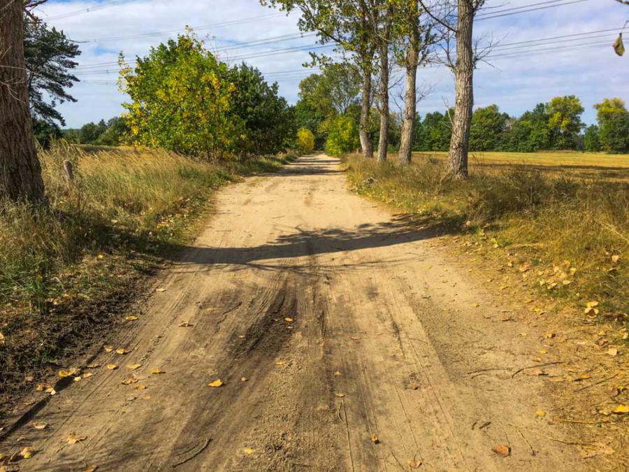 Sandige Wege im Naturschutzgebiet Nuthe Nieplitz