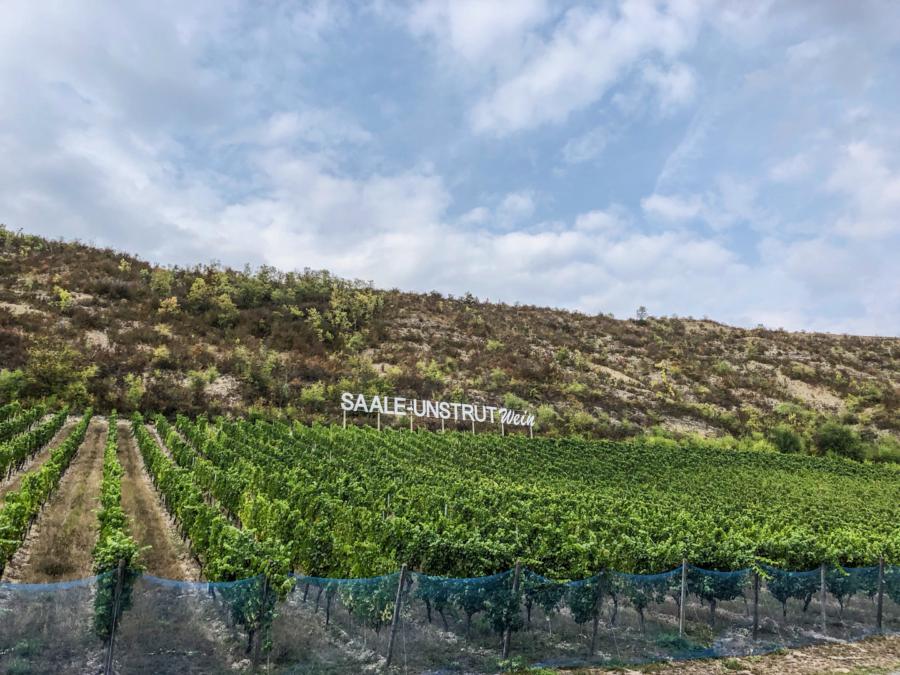 Das Saale-Unstrut-Weinbaugebiet, hier bei Kloster Pforta