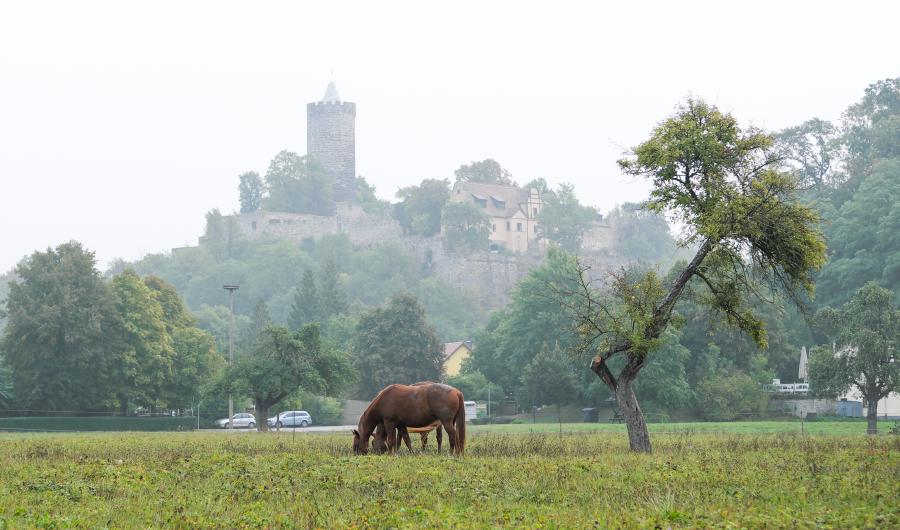 Natur und Burgen - Die Burg Schönburg im Nebel