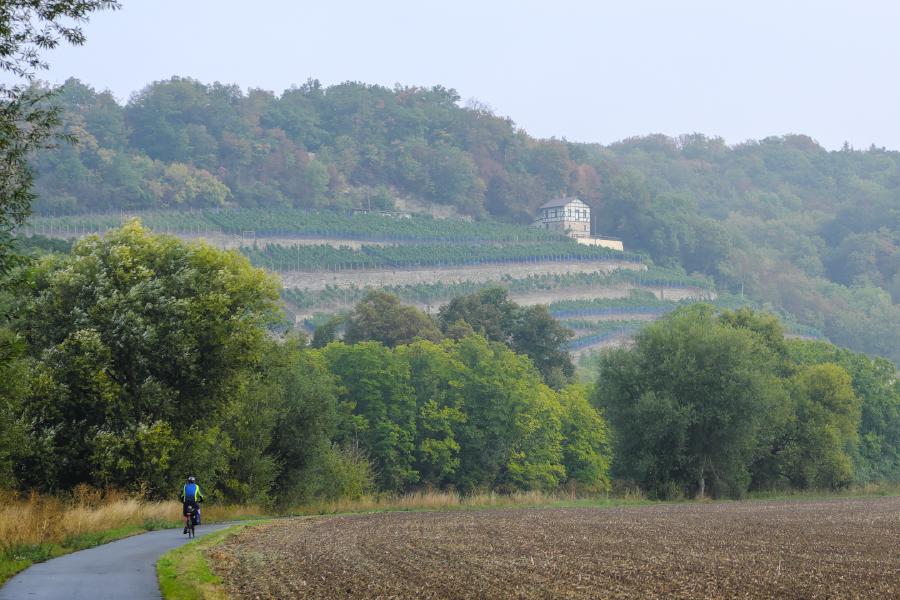 Weinberge im Burgenlandkreis - Goseck nördlich von Naumburg