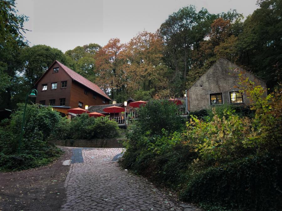 Die Jagdhütte Wettin - urig im Wald