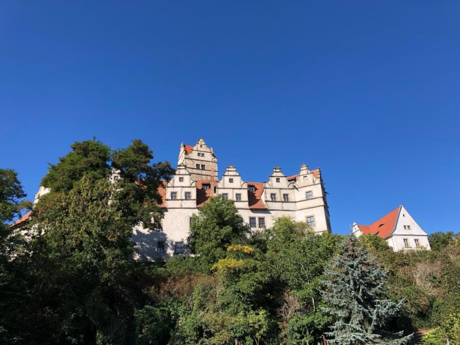 Blick auf Plötzkau vom Radweg aus