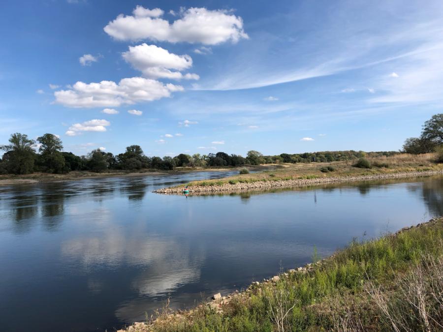 Mündung der Saale in die Elbe bei Barby
