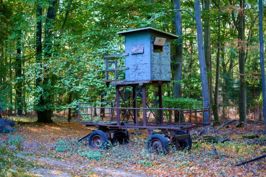 Fahrarer selbstgebauter Ansitzwagen im Fläming