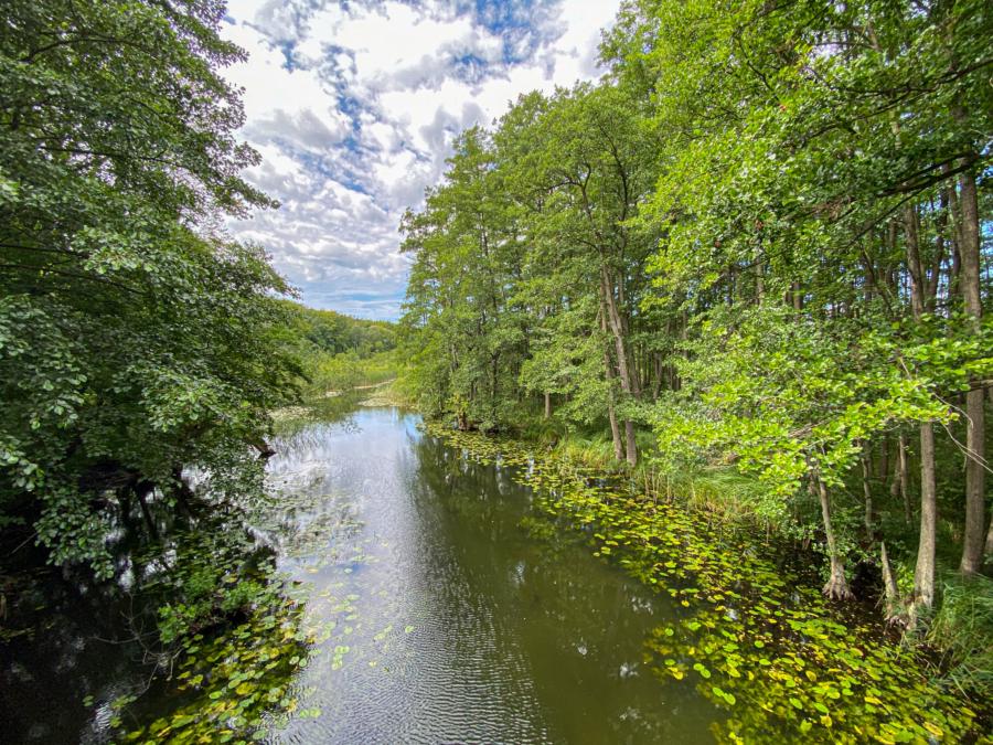 Fasanenbrücke bei Boitzenburg