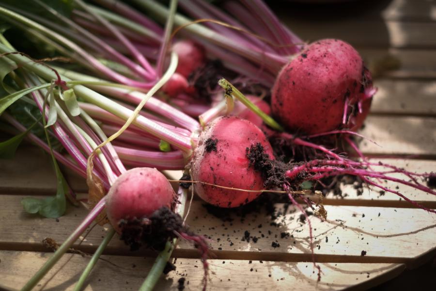 Rote Bete