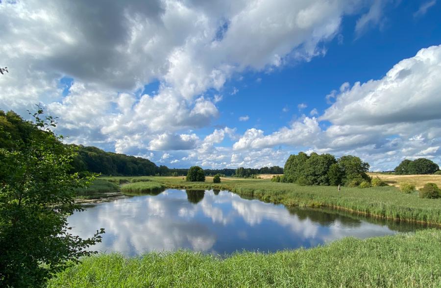 Densowsee, Blick von dem Aussichtsturm