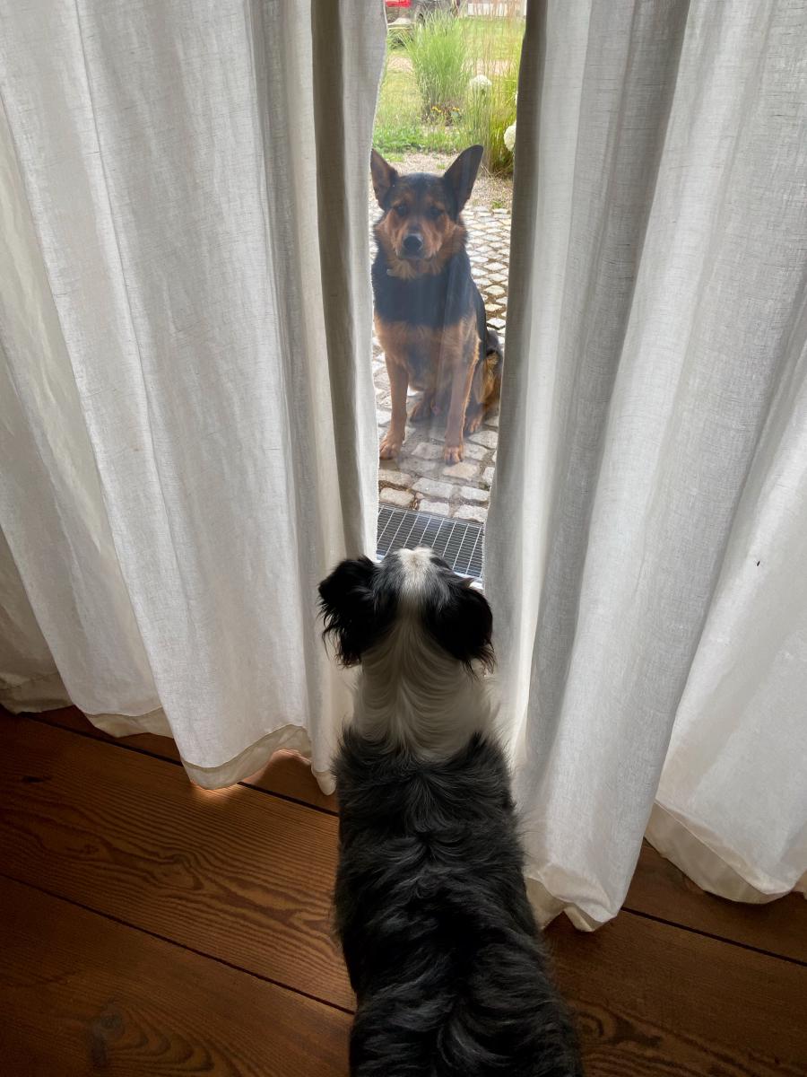 Egon und Milli