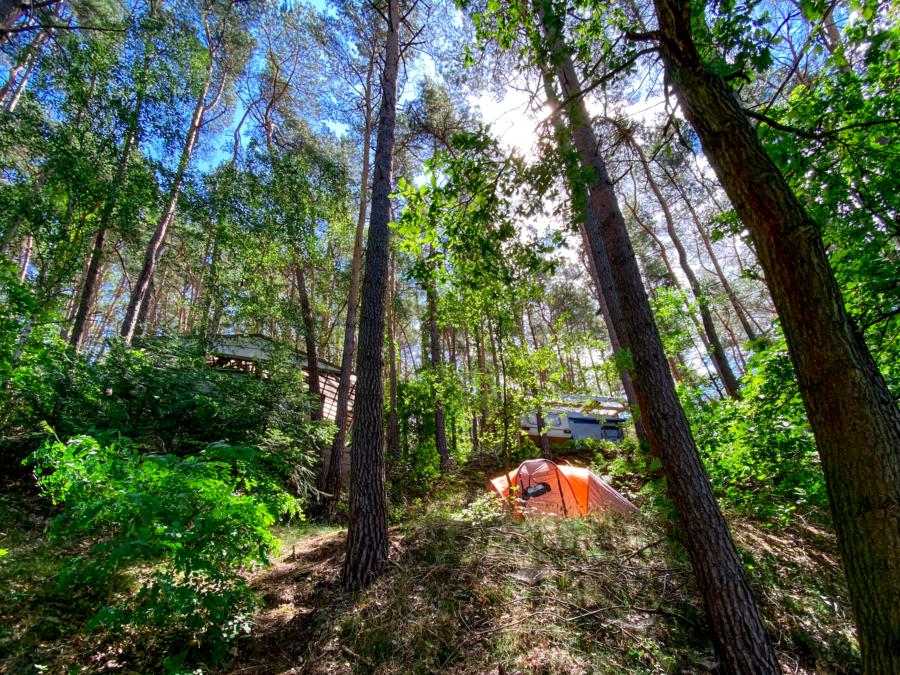 Naturcampingplatz am Springsee