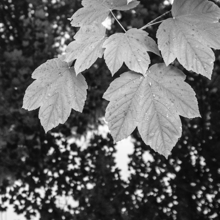 Dallgow-Döberitz, Regen, Kälte, Wind