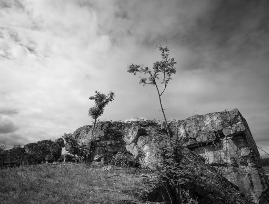 Döberitzer Heide, Beton