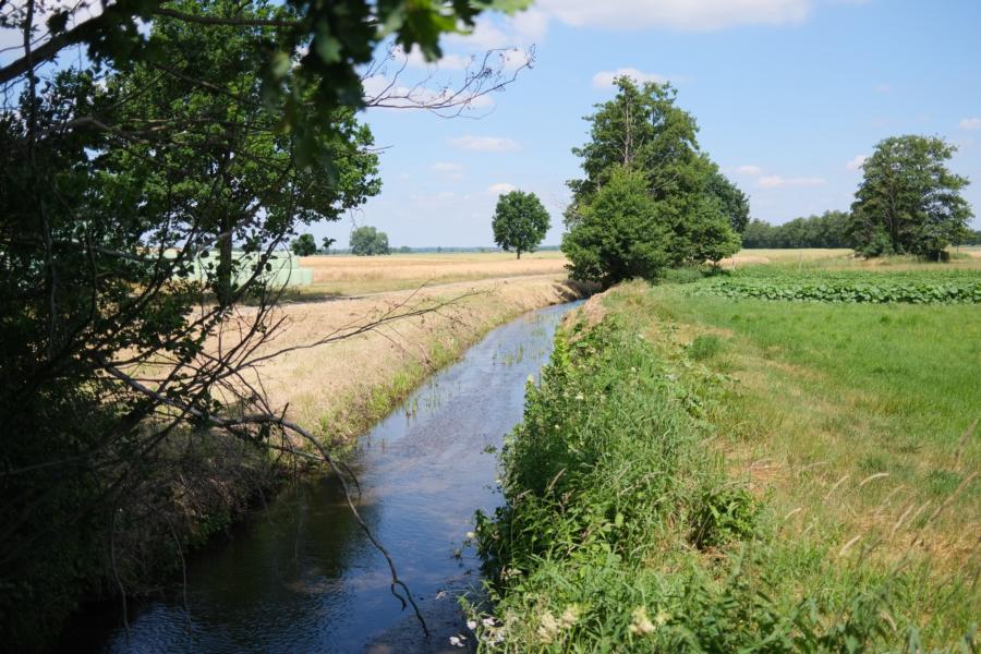 Baitzer Bach im Fläming