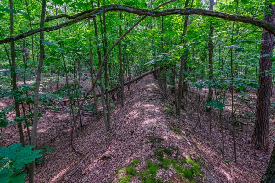 Schützengräben im Schanzenwald