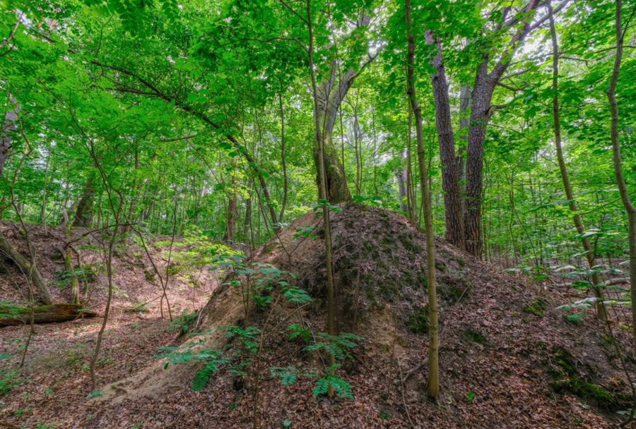 Schützengräben im Schanzenwald