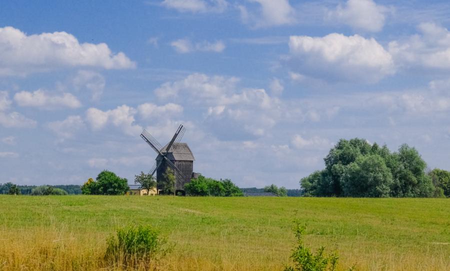 Bockwindmühle Vehlefanz, vom Mühlensee Vehlefanz aus gesehen