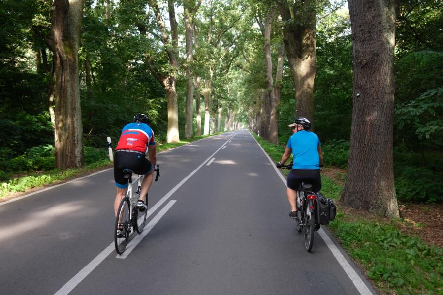 Schöne Radstrecke am Gröbener See