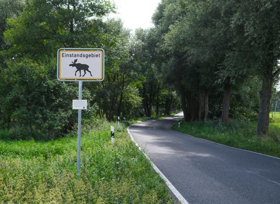 Achtung Elch! Warnschild bei Dobbrikow
