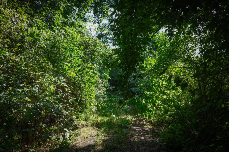 Suchbild - finde den Weg! NSG Zinna-Jüterbog-Keilberg 