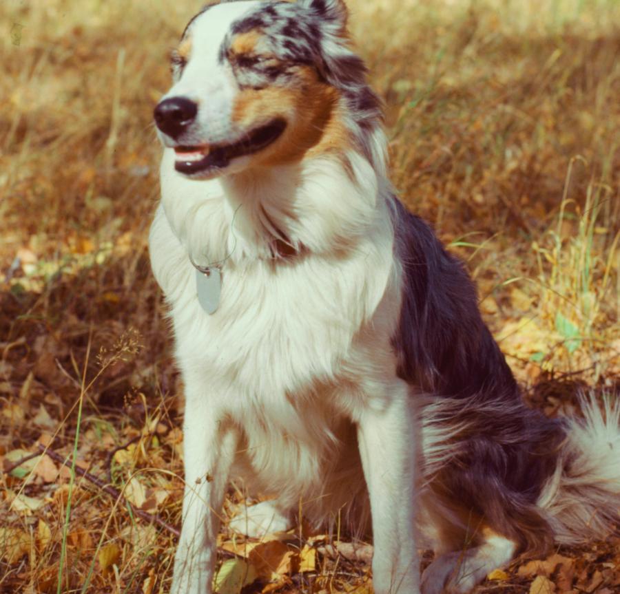 Beispielbild #2, Detail