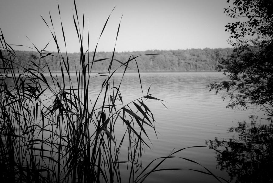 Sacrower See, Ilford HP5