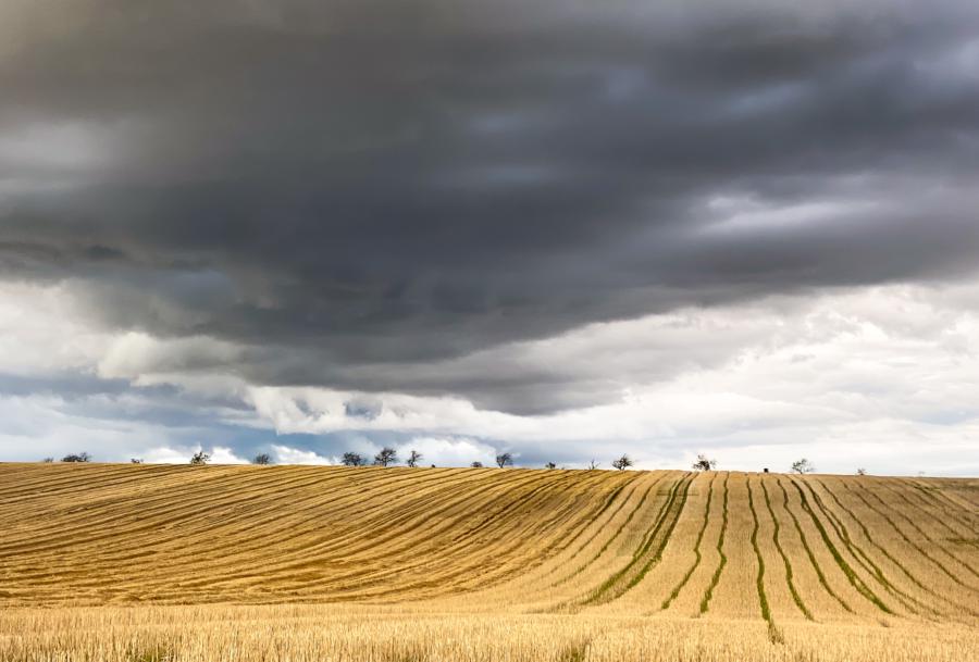 Zwischen Wetzendorf und Nebra