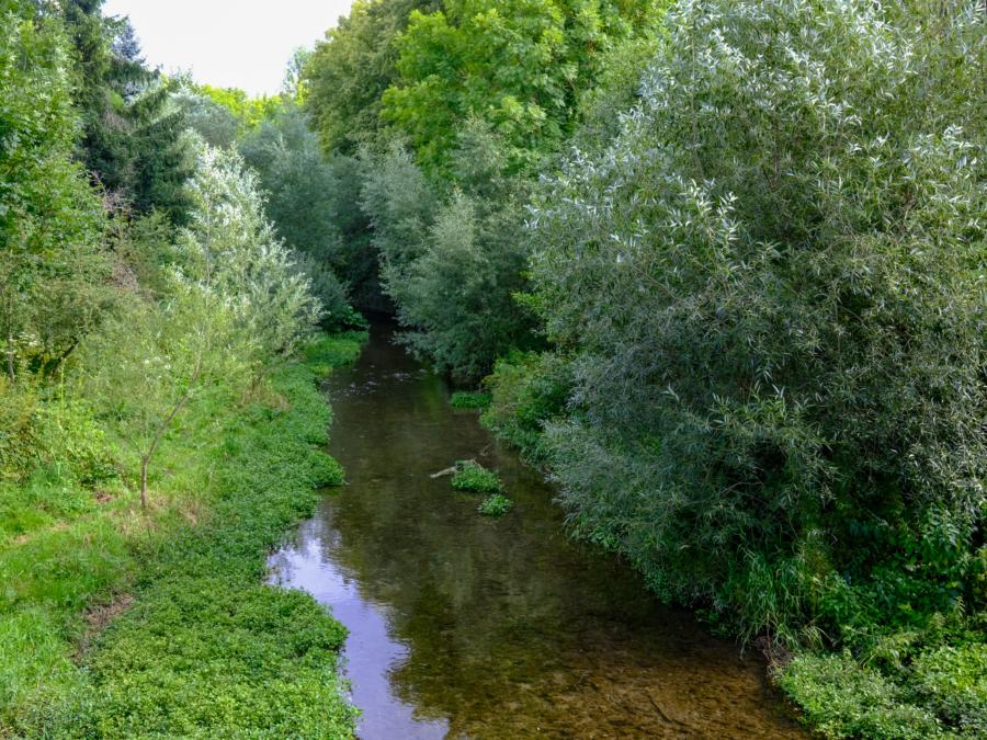 Die Unstrut bei Helmsdorf