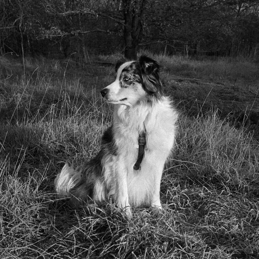 Fotomodell Milli (Olympus Mju II; Ilford HP5, Rodinal)