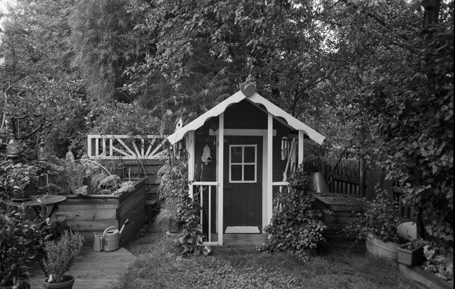 Garten im Sommer (Olympus Mju II; Ilford HP5, Rodinal)