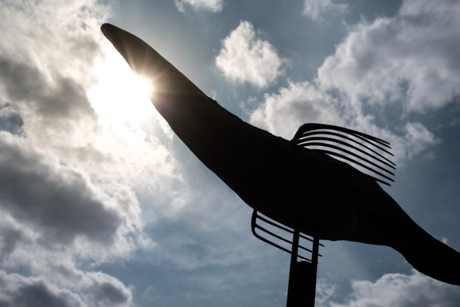 Kunstinstallation Fliegender Fisch in Wandlitz gegenüber Kulturbühne