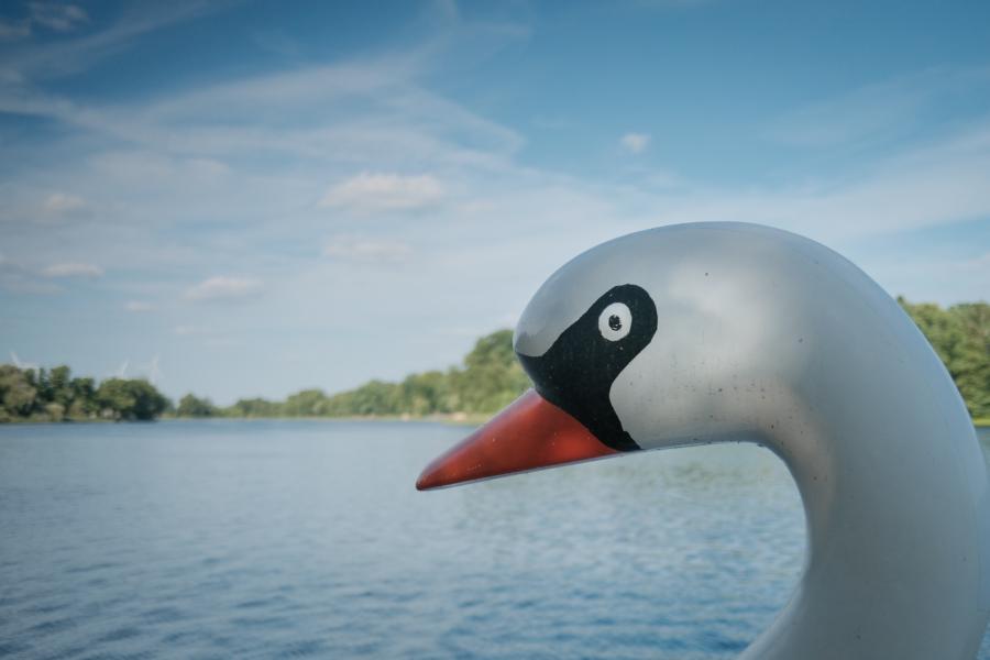 Schwanenkopf vom Tretboot am Stolzenhagener See