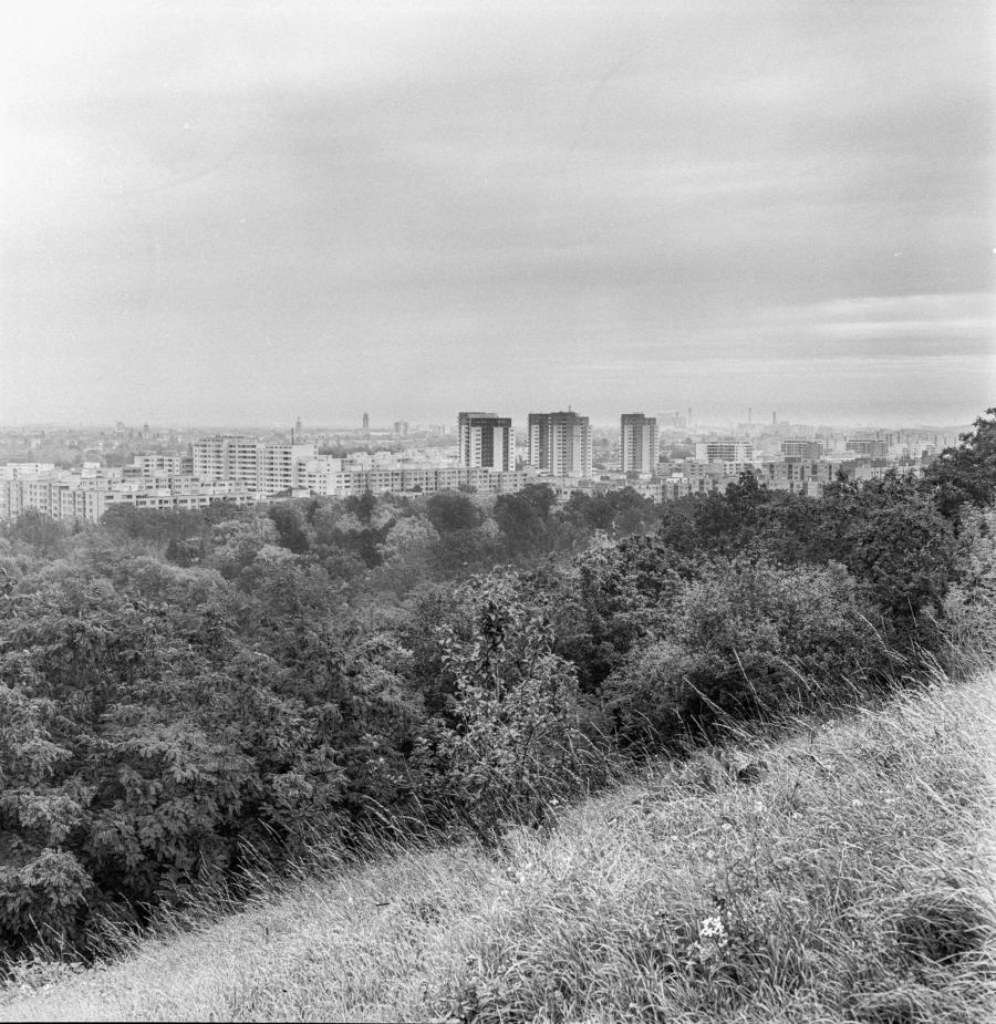 Louise Schröder Siedlung