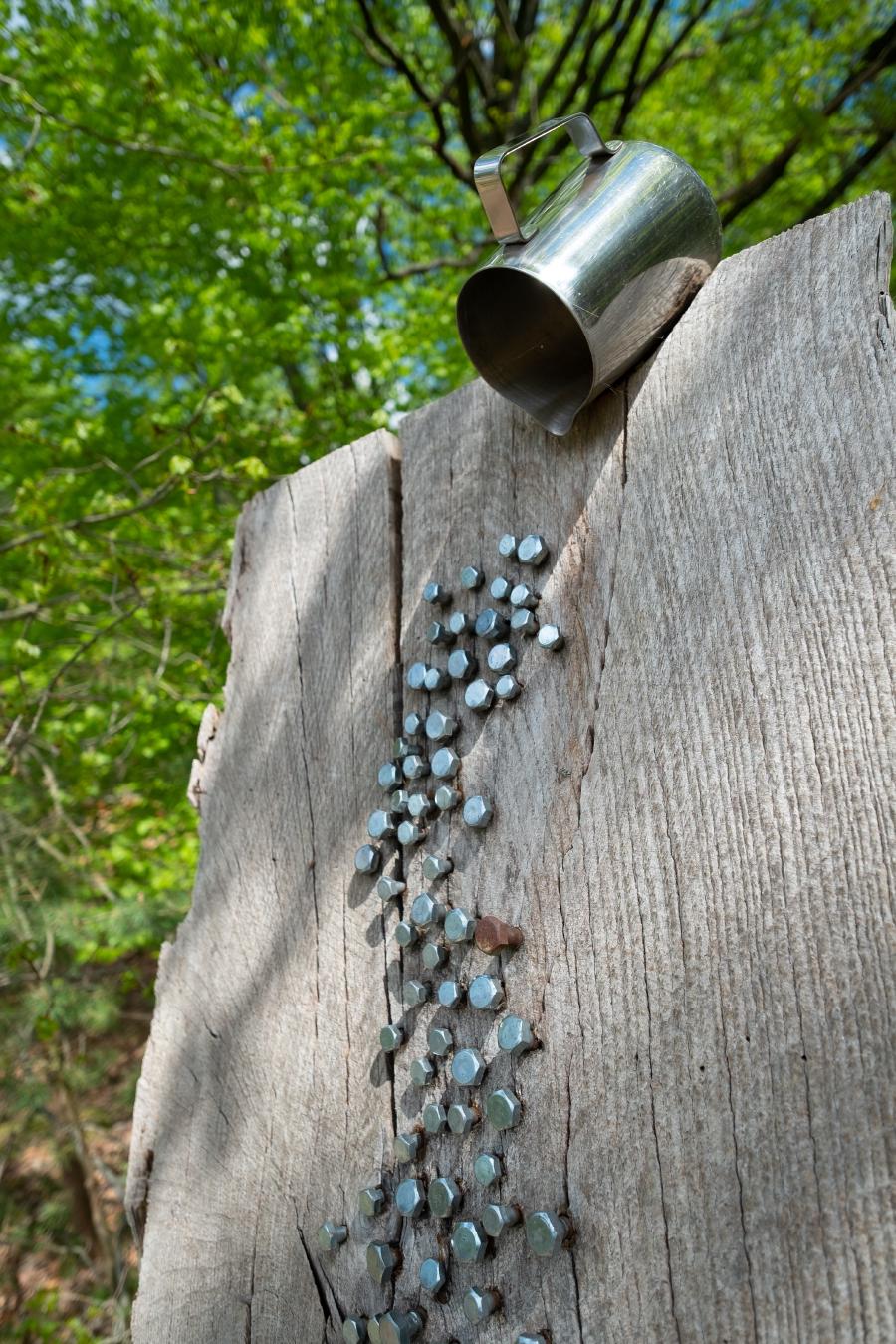 Installation im Wald am Skulpturenpark Lehnin