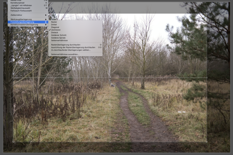 Lightroom Fadenkreuz zum Aurichten des Ausschnittes