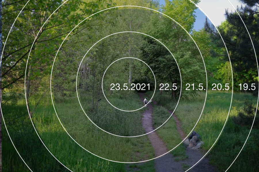 Zeittunnel für den 23.5.2021 .. 18.5.2021