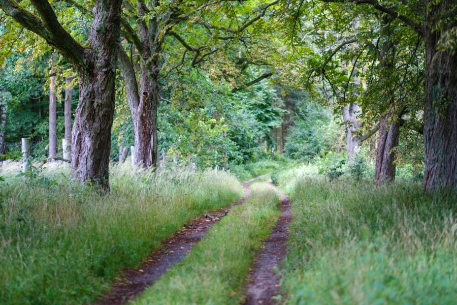 Fahrweg nach Zerwelin