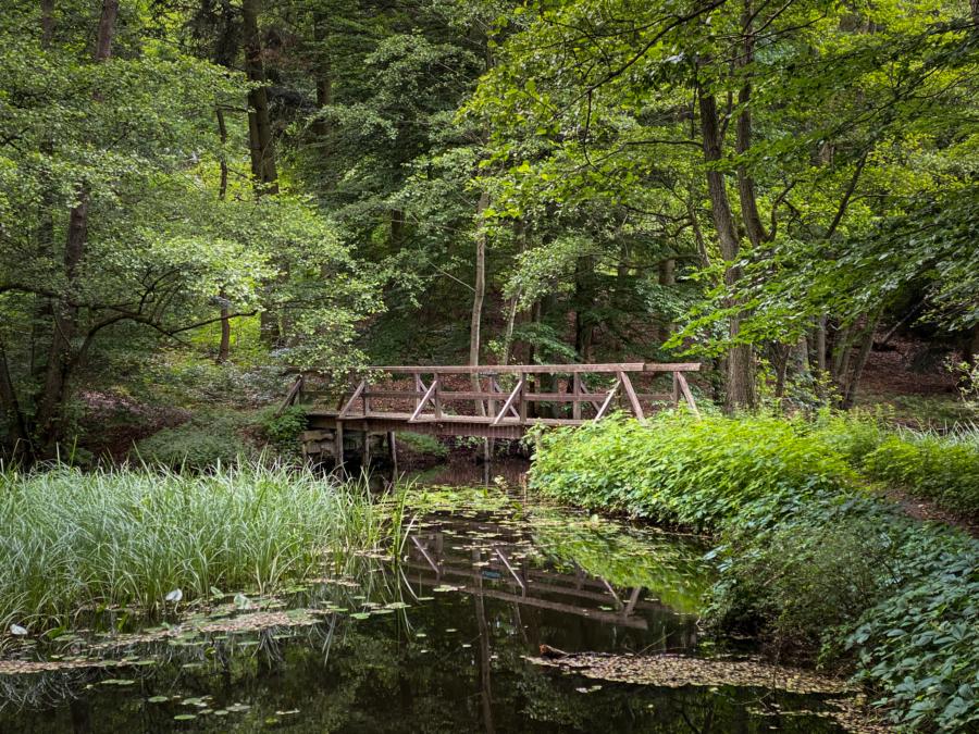 Brücke über den Mühlenbach im Boitzenburger Wald 