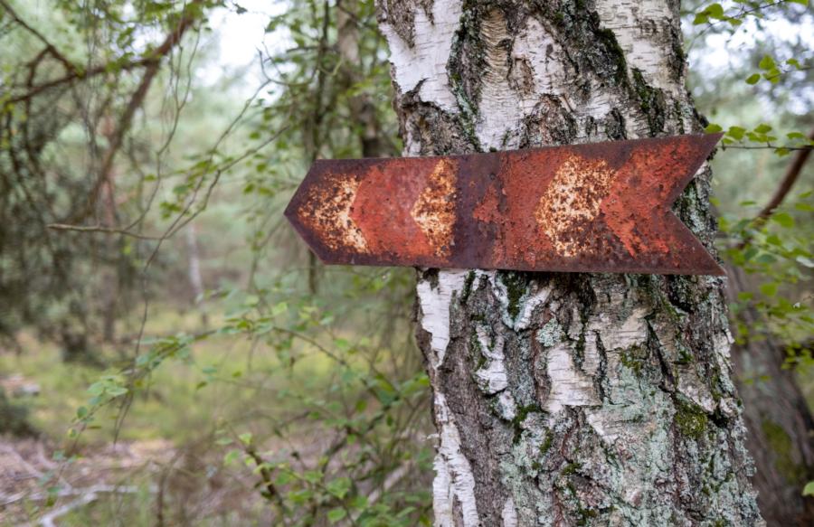 Rostiger Richtungspfeil - Kleine Schorfheide