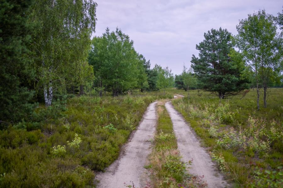 Wanderweg durch die Kleine Schorfheide