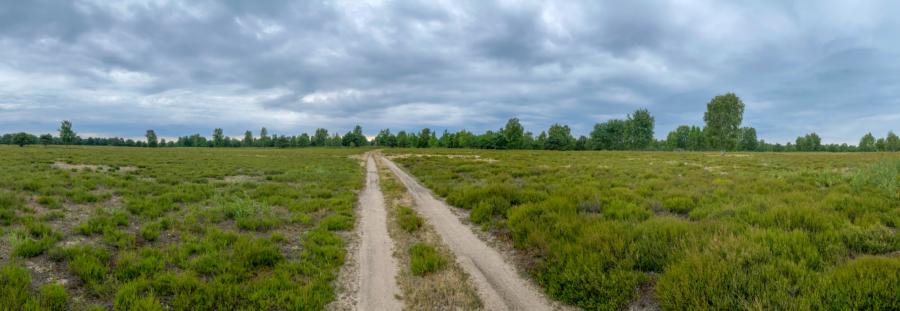 Nichts als Weite, und kein Geräusch - Kleine Schorfheide