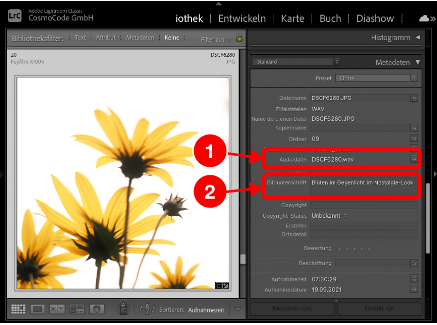Import der Dateien in Lightroom
