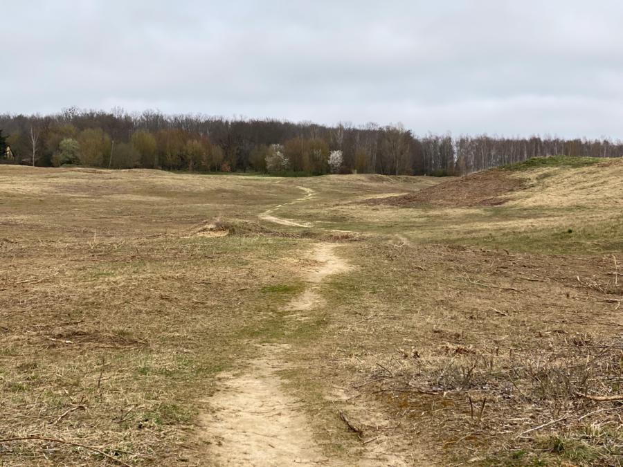 Brachland zwischen Hahneberg und Seeburg