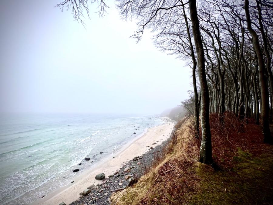 Wunderschöner Blick vom Märchenwald entlang der Küste