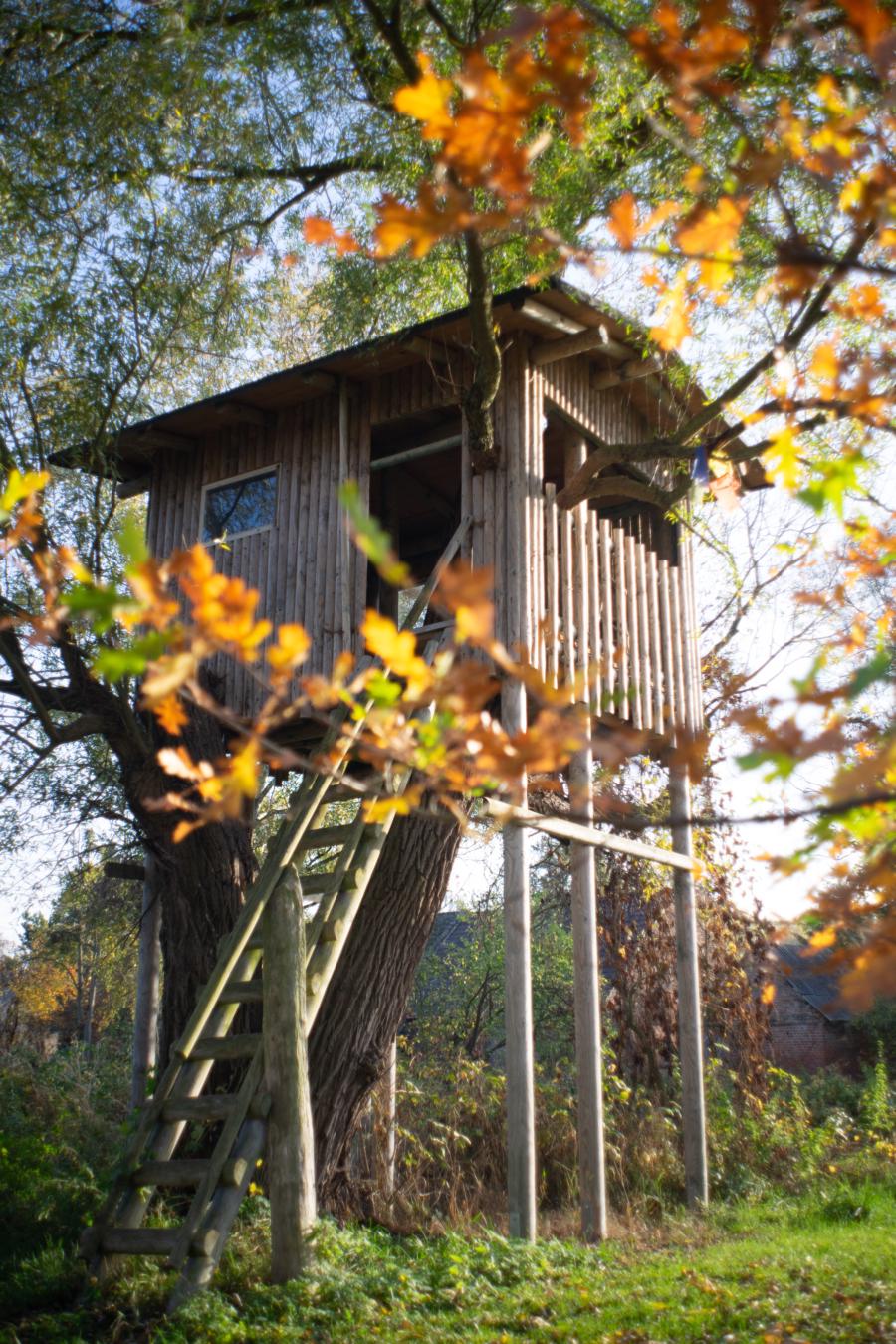 Baumhaus beim Ferienhaus Seeger