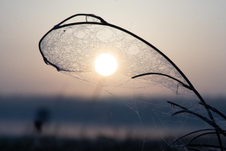 Sonnenaufgang am Haff