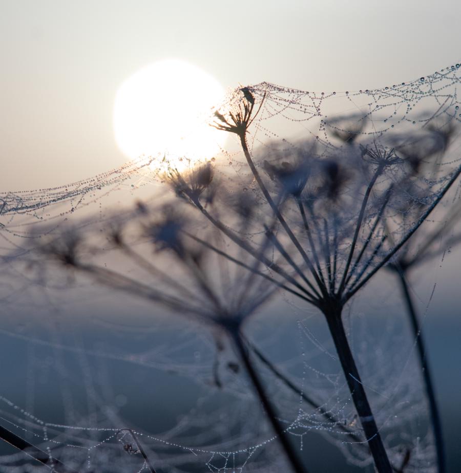 Sonnenaufgang am Haff