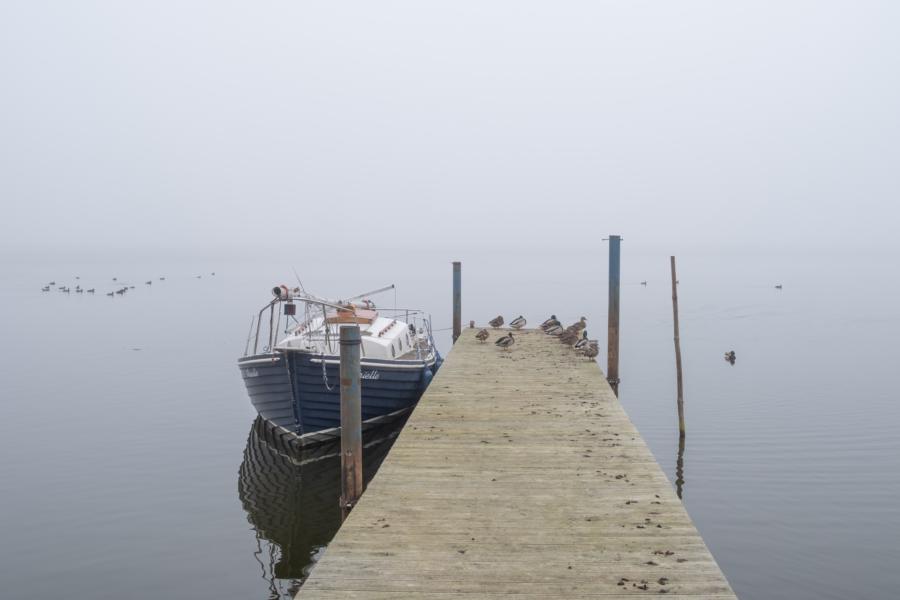 Bootssteg im Nebel in Altwarp
