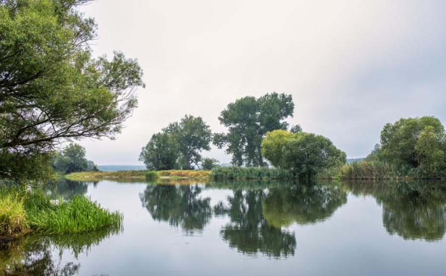 X100V - Gülper Havel bei Parey